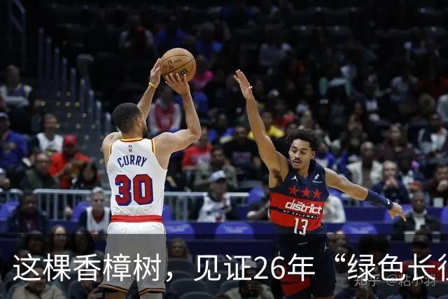 这棵香樟树，见证26年“绿色长征”